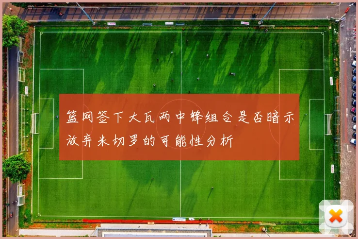 篮网签下大瓦两中锋组合是否暗示放弃米切罗的可能性分析