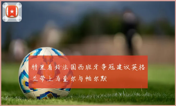 特里看好法国西班牙争冠建议英格兰带上马奎尔与帕尔默